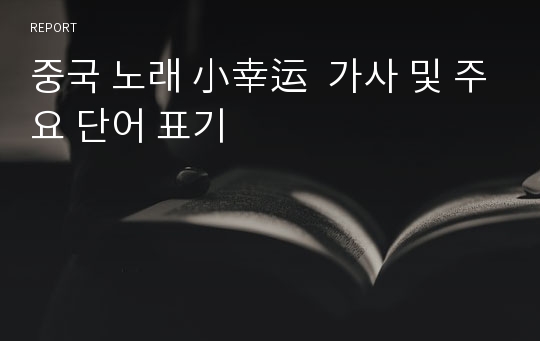 중국 노래 小幸运  가사 및 주요 단어 표기