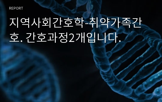 지역사회간호학-취약가족간호. 간호과정2개입니다.