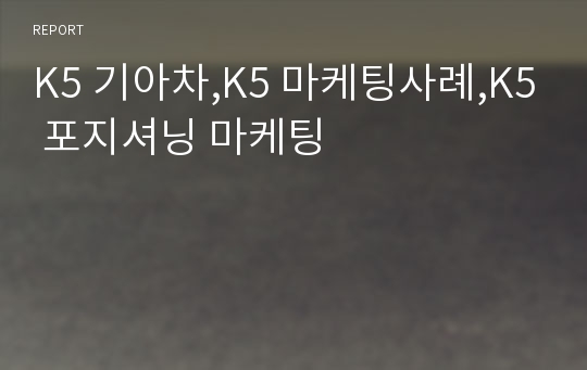 K5 기아차,K5 마케팅사례,K5 포지셔닝 마케팅