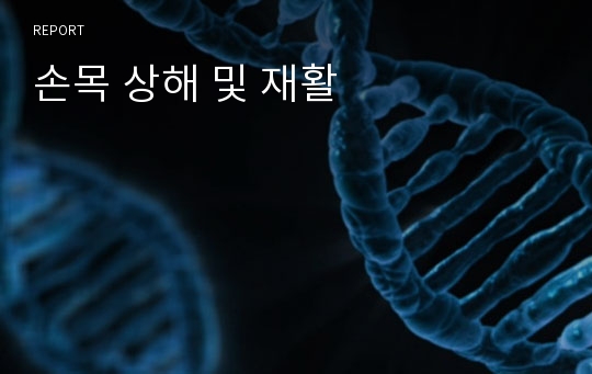 손목 상해 및 재활