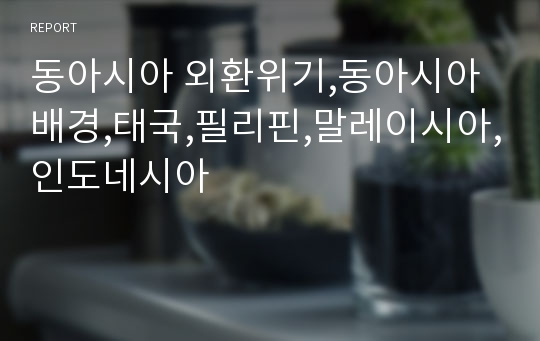 동아시아 외환위기,동아시아 배경,태국,필리핀,말레이시아,인도네시아