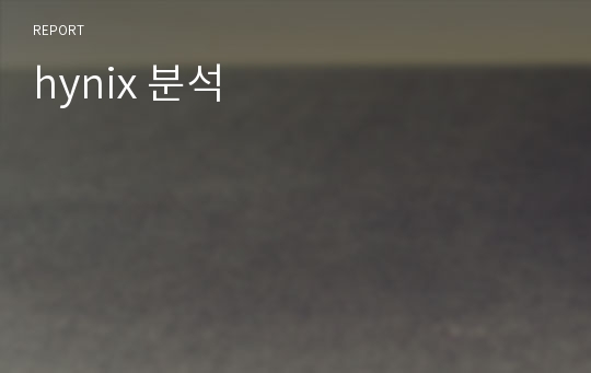 hynix 분석