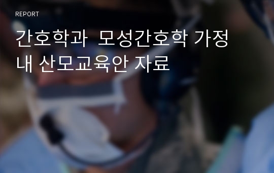 간호학과  모성간호학 가정 내 산모교육안 자료