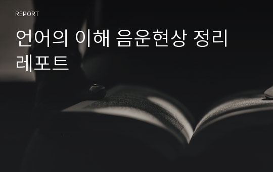 언어의 이해 음운현상 정리 레포트