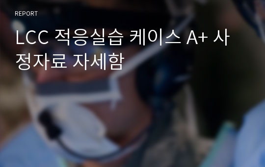 LCC 적응실습 케이스 A+ 사정자료 자세함