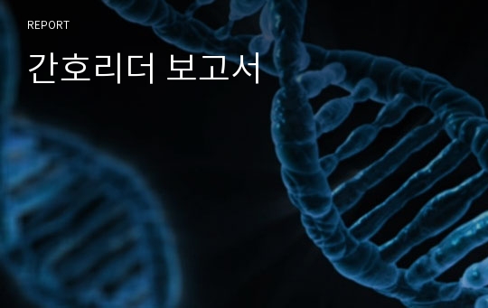 간호리더 보고서