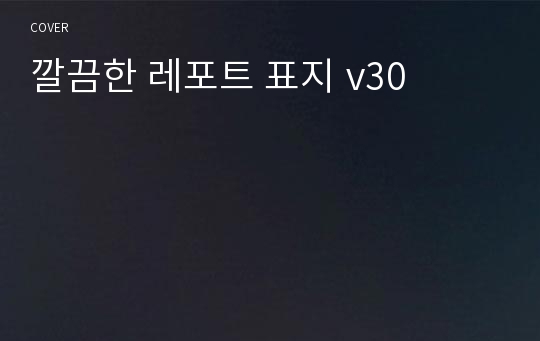 깔끔한 레포트 표지 v30