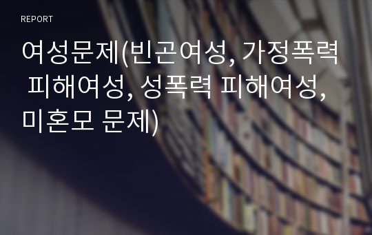 여성문제(빈곤여성, 가정폭력 피해여성, 성폭력 피해여성, 미혼모 문제)