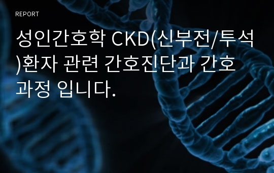 성인간호학 CKD(신부전/투석)환자 관련 간호진단과 간호과정 입니다.