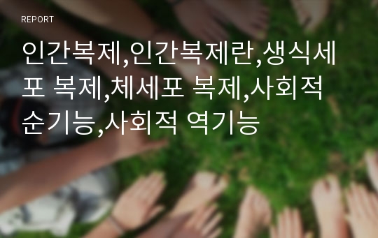 인간복제,인간복제란,생식세포 복제,체세포 복제,사회적 순기능,사회적 역기능