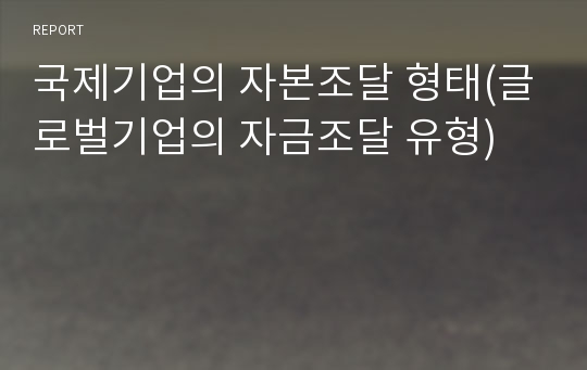 국제기업의 자본조달 형태(글로벌기업의 자금조달 유형)