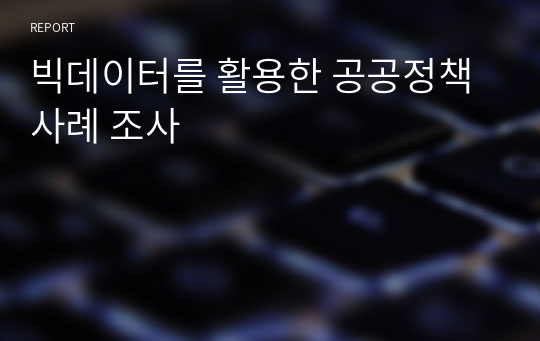 빅데이터를 활용한 공공정책 사례 조사