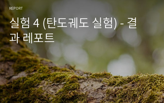 실험 4 (탄도궤도 실험) - 결과 레포트