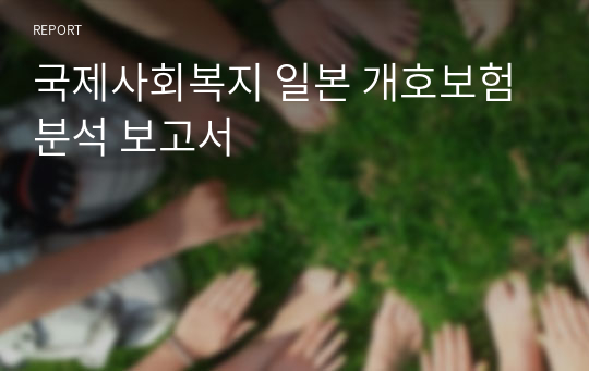 국제사회복지 일본 개호보험 분석 보고서