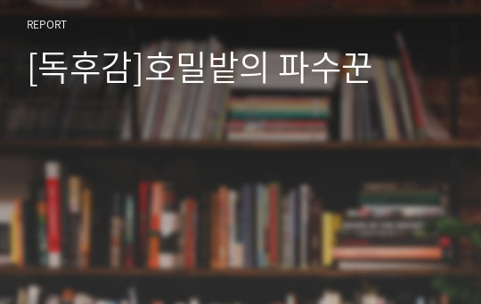 [독후감]호밀밭의 파수꾼