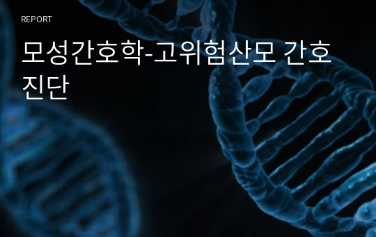 모성간호학-고위험산모 간호진단