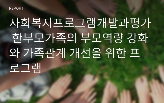 사회복지프로그램개발과평가 한부모가족의 부모역량 강화와 가족관계 개선을 위한 프로그램