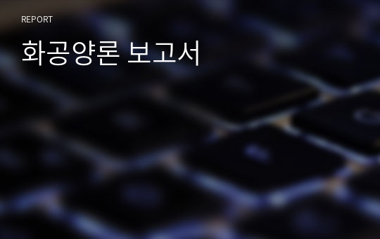 화공양론 보고서