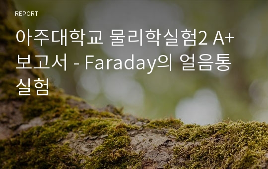 아주대학교 물리학실험2 A+ 보고서 - Faraday의 얼음통 실험