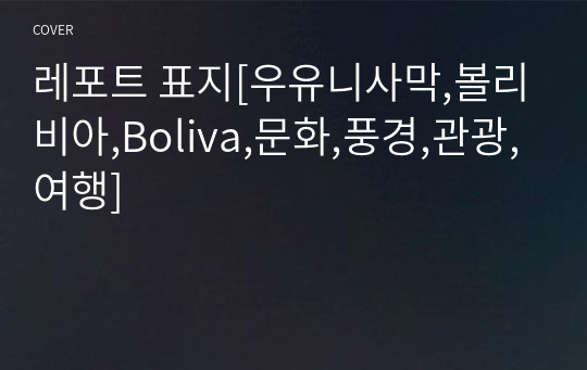 레포트 표지[우유니사막,볼리비아,Boliva,문화,풍경,관광,여행]