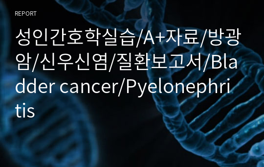 성인간호학실습/A+자료/방광암/신우신염/질환보고서/Bladder cancer/Pyelonephritis