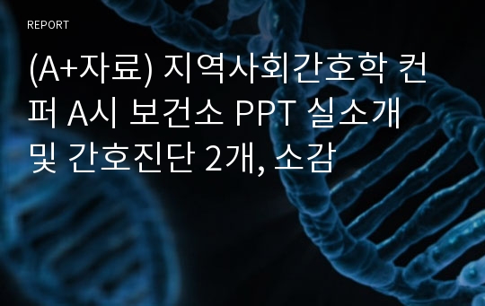 (A+자료) 지역사회간호학 컨퍼 A시 보건소 PPT 실소개 및 간호진단 2개, 소감