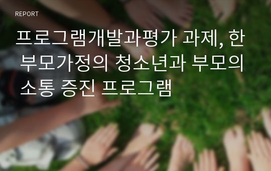 프로그램개발과평가 과제, 한 부모가정의 청소년과 부모의 소통 증진 프로그램 