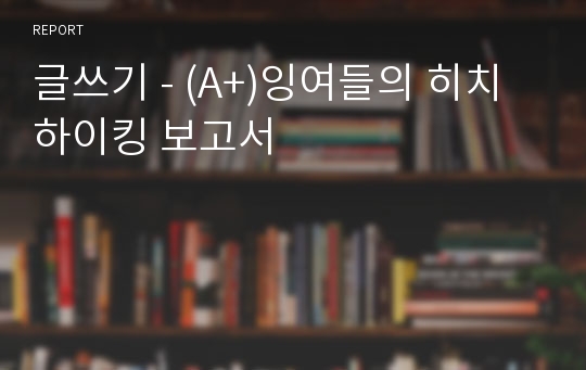 글쓰기 - (A+)잉여들의 히치하이킹 보고서