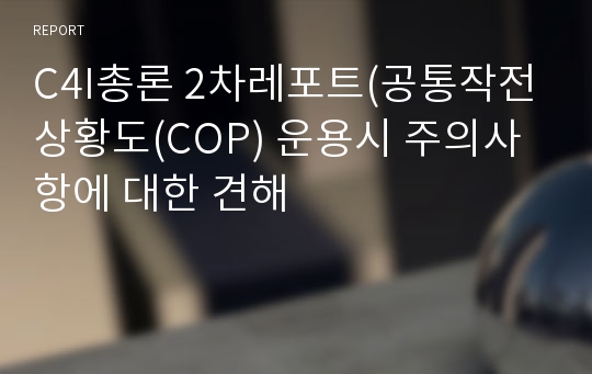 C4I총론 2차레포트(공통작전상황도(COP) 운용시 주의사항에 대한 견해