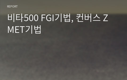 비타500 FGI기법, 컨버스 ZMET기법