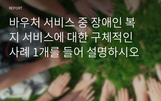 바우처 서비스 중 장애인 복지 서비스에 대한 구체적인 사례 1개를 들어 설명하시오