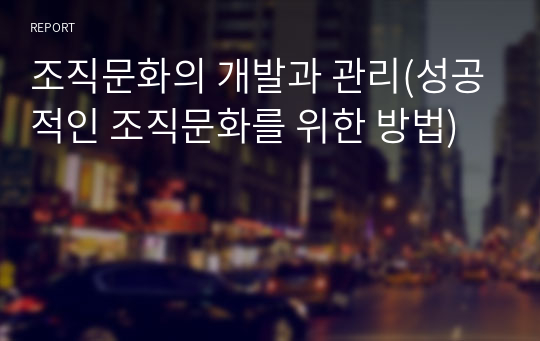 조직문화의 개발과 관리(성공적인 조직문화를 위한 방법)