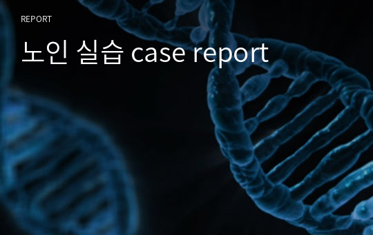 노인 실습 case report