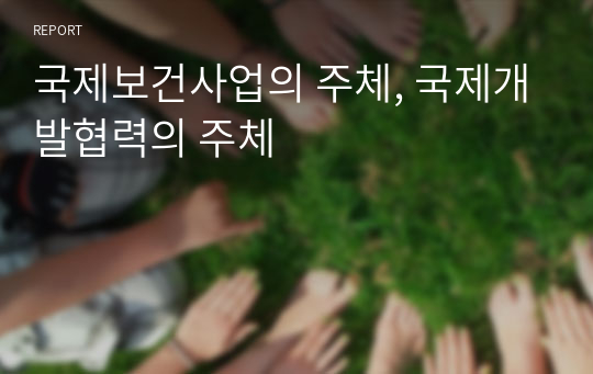 국제보건사업의 주체, 국제개발협력의 주체