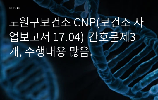 노원구보건소 CNP(보건소 사업보고서 17.04)-간호문제3개, 수행내용 많음.