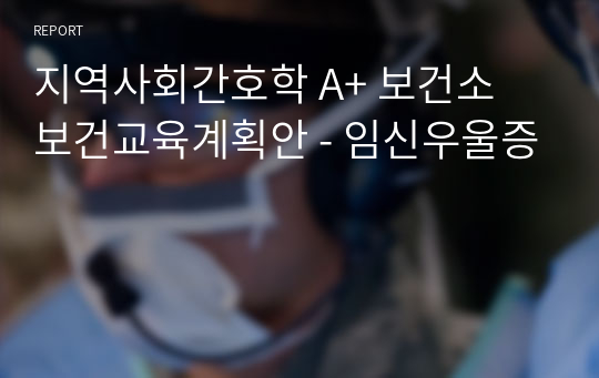 지역사회간호학 A+ 보건소 보건교육계획안 - 임신우울증