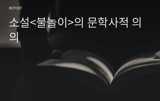 소설&lt;불놀이&gt;의 문학사적 의의