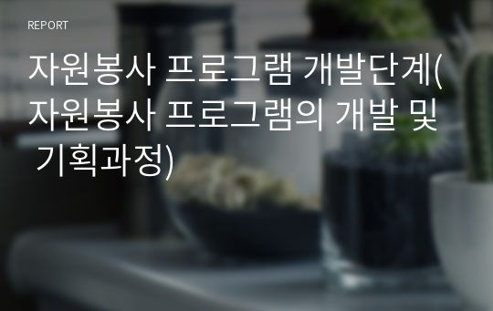 자원봉사 프로그램 개발단계(자원봉사 프로그램의 개발 및 기획과정)