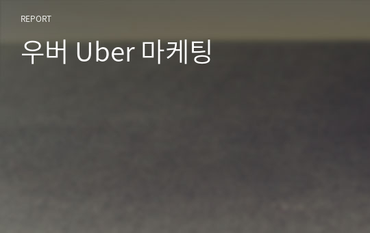 우버 Uber 마케팅