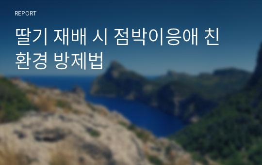 딸기 재배 시 점박이응애 친환경 방제법