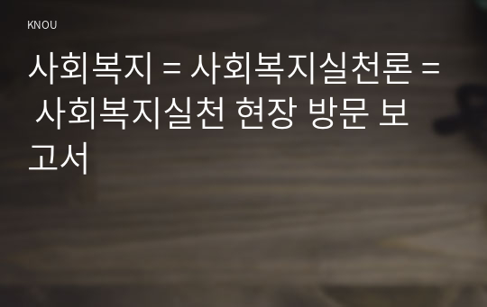 사회복지 = 사회복지실천론 = 사회복지실천 현장 방문 보고서