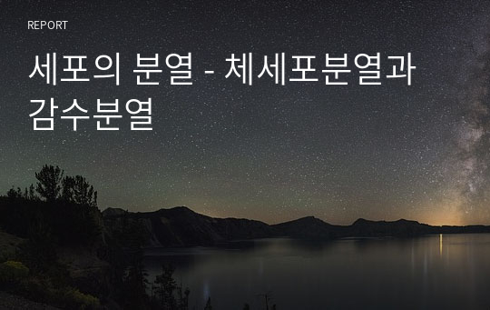 세포의 분열 - 체세포분열과 감수분열