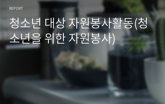 청소년 대상 자원봉사활동(청소년을 위한 자원봉사)