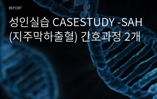 성인실습 CASESTUDY -SAH(지주막하출혈) 간호과정 2개