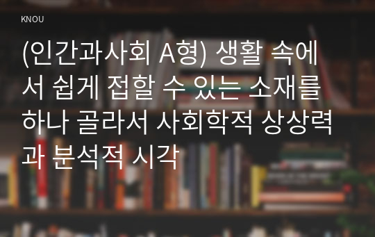 (인간과사회 A형) 생활 속에서 쉽게 접할 수 있는 소재를 하나 골라서 사회학적 상상력과 분석적 시각