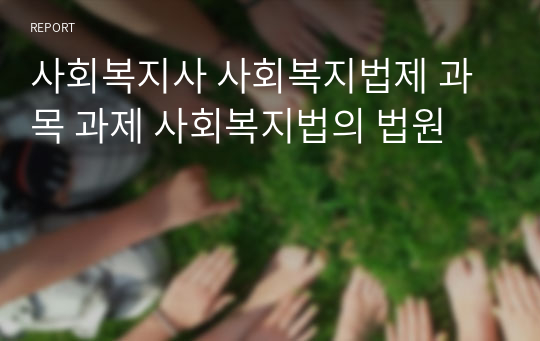 사회복지사 사회복지법제 과목 과제 사회복지법의 법원