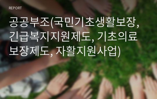 공공부조(국민기초생활보장, 긴급복지지원제도, 기초의료보장제도, 자활지원사업)