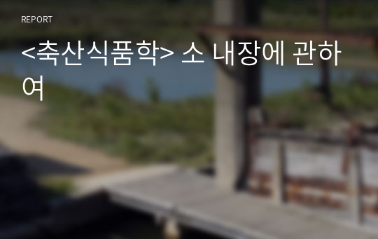 &lt;축산식품학&gt; 소 내장에 관하여