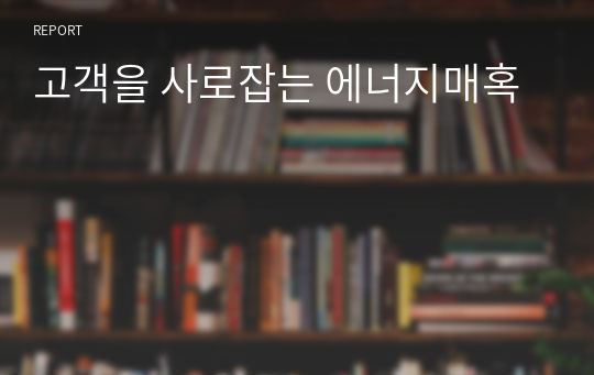 고객을 사로잡는 에너지매혹