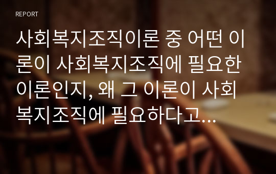 사회복지조직이론 중 어떤 이론이 사회복지조직에 필요한 이론인지, 왜 그 이론이 사회복지조직에 필요하다고 생각하는지, 조직이론의 내용을 기록하고 자신의 의견을 서술하시오.